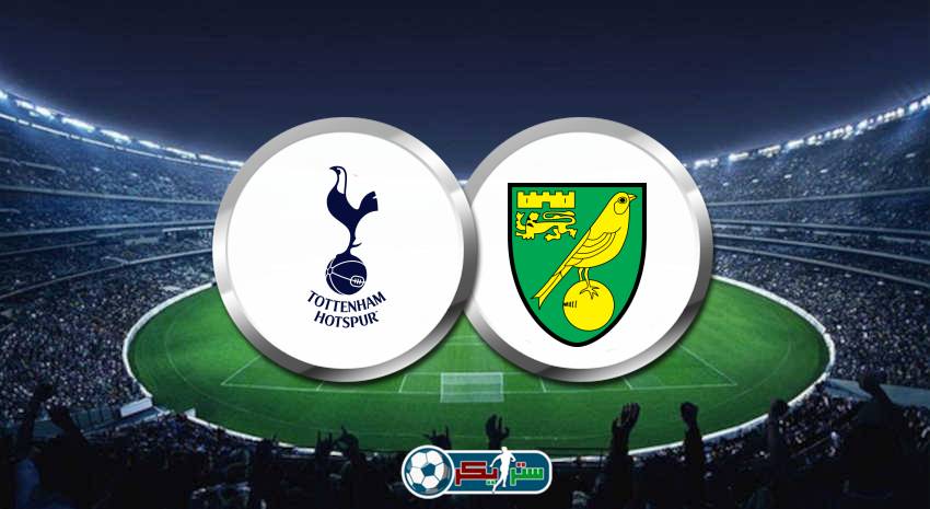 القنوات الناقلة لمباراة توتنهام هوتسبير ونوريتش سيتي علي استرا والهوت بيرد فى الدوري الانجليزي