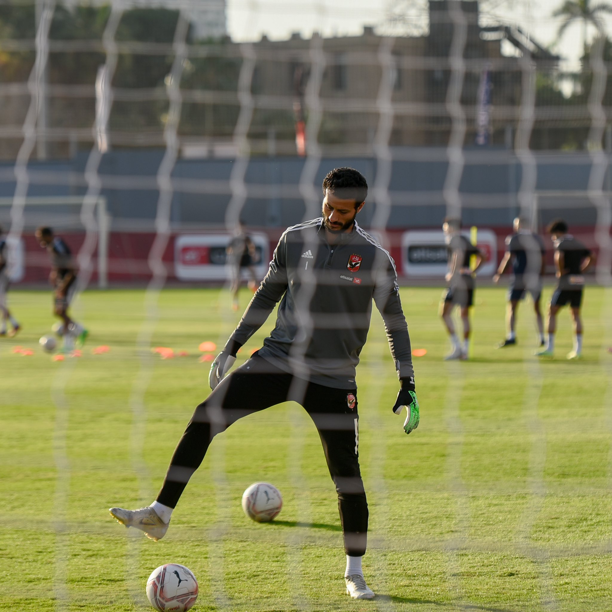 محمد الشناوي