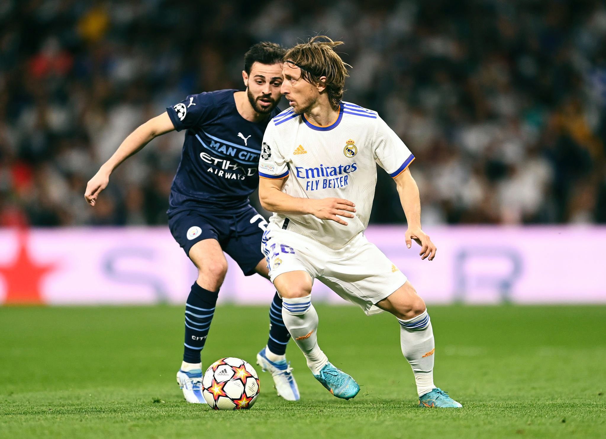 بيرناردو سيلفا