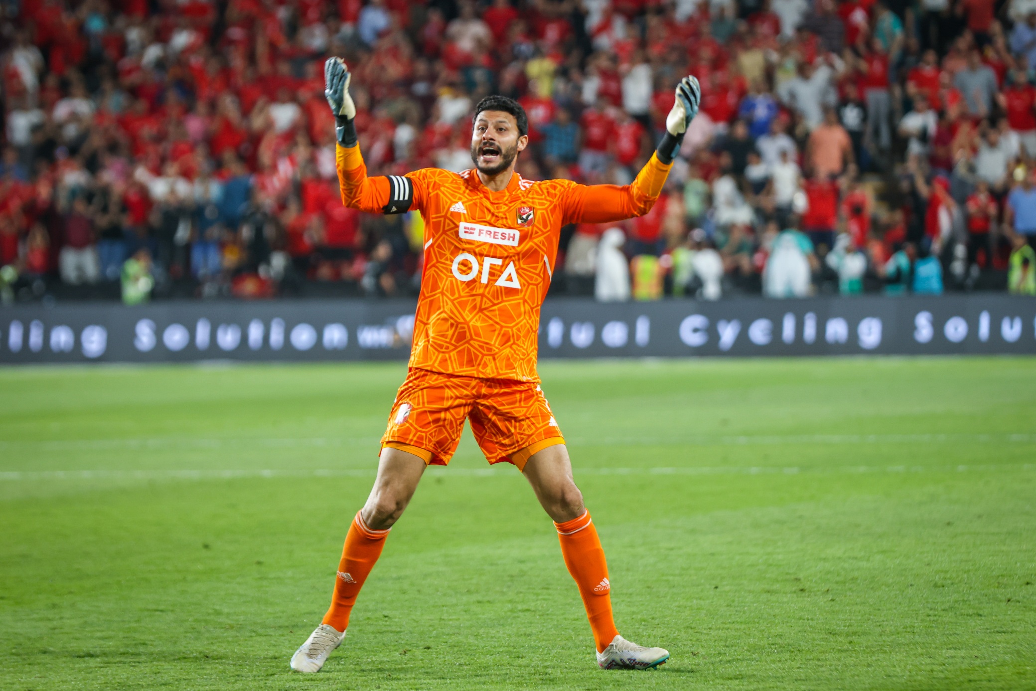 محمد الشناوي حارس الأهلي