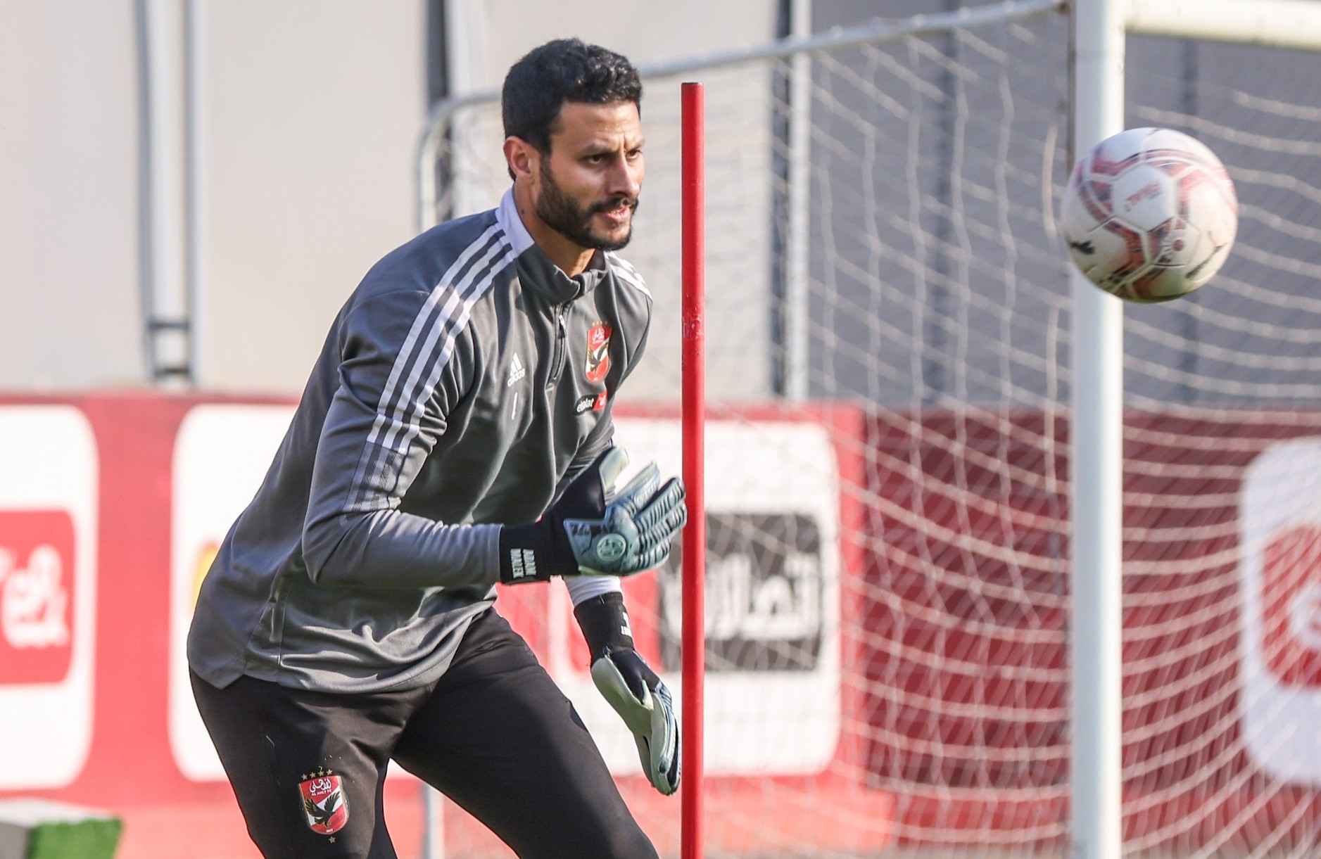 محمد الشناوي