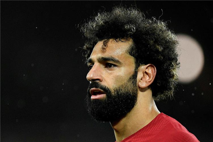 قبل مواجهة برايتون..هدف واحد يفصل صلاح عن حصد رقم قياسي جديد مع ليفربول